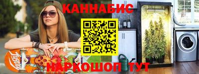 молекула духа Будённовск