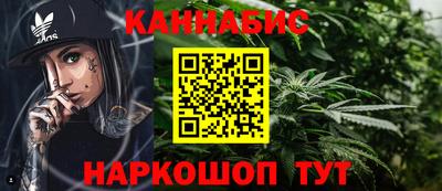 молекула духа Будённовск