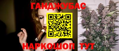 молекула духа Будённовск