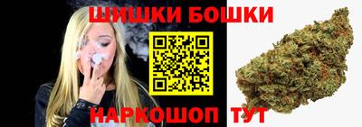 молекула духа Будённовск